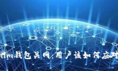 Tokentokenim钱包关网：用户该如何应对及