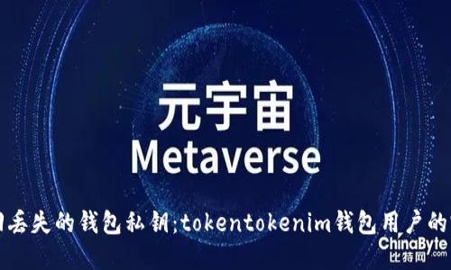 如何找回丢失的钱包私钥：tokentokenim钱包用户的完整指南