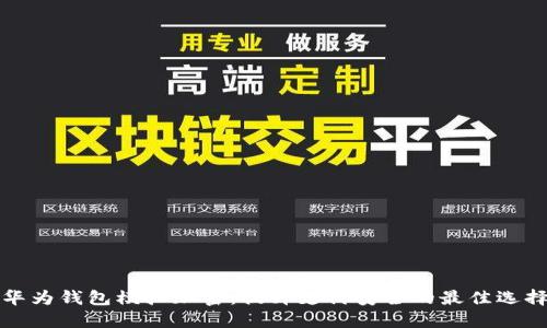 华为钱包模拟加密：提升支付安全的最佳选择