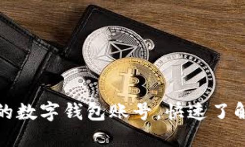 如何轻松查询名下的数字钱包账号,快速了解您的数字资产情况