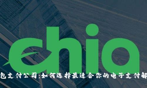 数字钱包支付公司:如何选择最适合你的电子支付解决方案