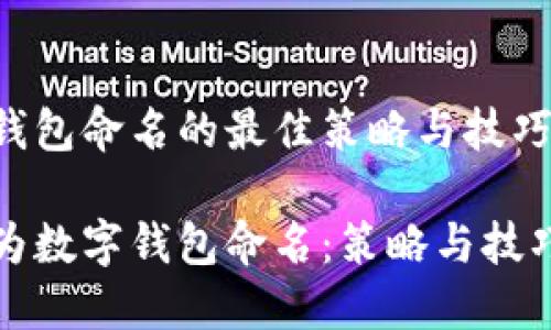 数字钱包命名的最佳策略与技巧
如何为数字钱包命名:策略与技巧指南