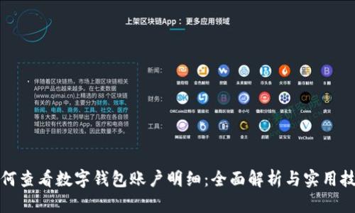 如何查看数字钱包账户明细:全面解析与实用技巧