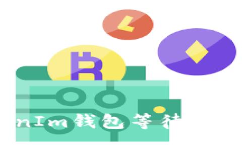如何快速解决TokenIm钱包等待确认问题的方法与技巧