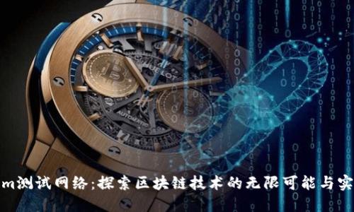 Tokenim测试网络：探索区块链技术的无限可能与实用价值