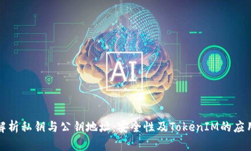 深入解析私钥与公钥地址：安全性及TokenIM的应用价值