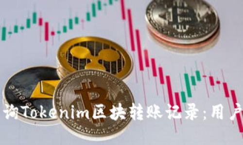 如何高效查询Tokenim区块转账记录：用户全方位指南