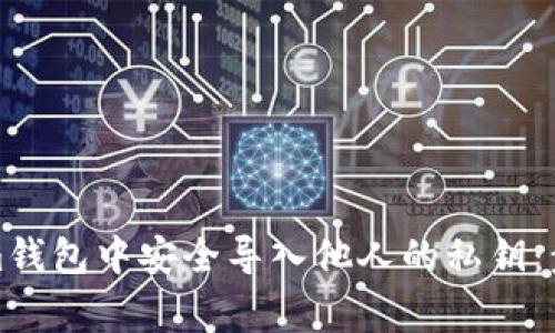 如何在Tokenim钱包中安全导入他人的私钥：步骤与注意事项