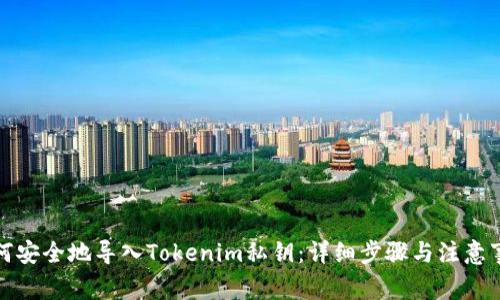 如何安全地导入Tokenim私钥:详细步骤与注意事项