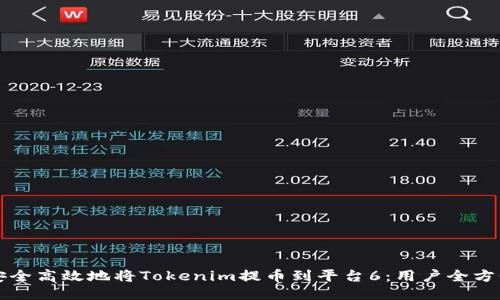 如何安全高效地将Tokenim提币到平台6:用户全方位指南
