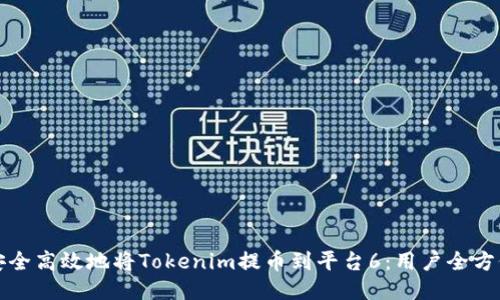 如何安全高效地将Tokenim提币到平台6:用户全方位指南