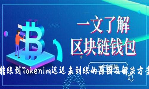转账到Tokenim迟迟未到账的原因及解决方案