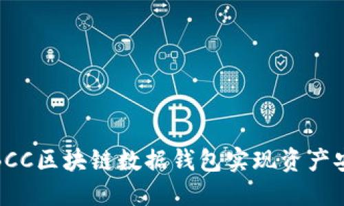 如何使用BCC区块链数据钱包实现资产安全与增值