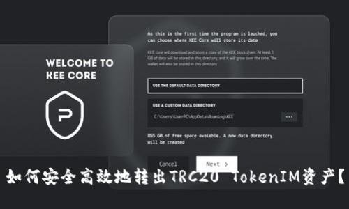 如何安全高效地转出TRC20 TokenIM资产?