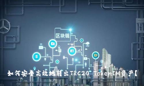 如何安全高效地转出TRC20 TokenIM资产?