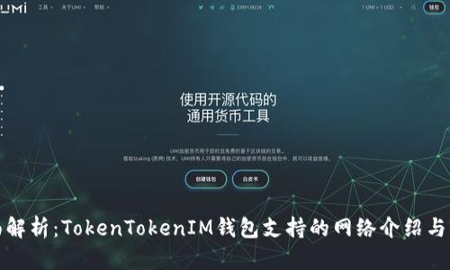 全面解析:TokenTokenIM钱包支持的网络介绍与优势