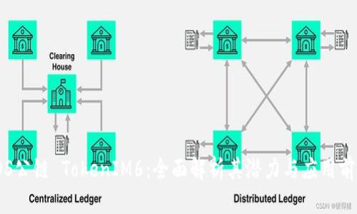 TOS公链 TokenIM6:全面解析其潜力与应用前景