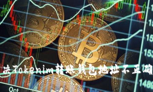 如何解决Tokenim转账钱包地址不正确的问题