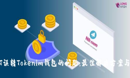 如何解决USDT误转Tokenim钱包的问题:最佳解决方案与用户经验分享