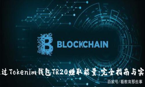 如何通过Tokenim钱包TR20赚取能量:完全指南与实用技巧