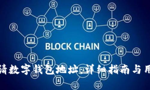 如何申请数字钱包地址:详细指南与用户价值