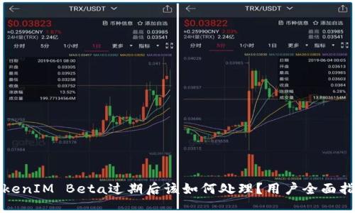TokenIM Beta过期后该如何处理？用户全面指南