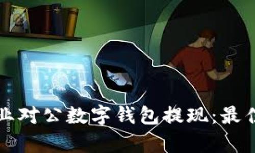 如何高效管理企业对公数字钱包提现：最佳实践与收益分析