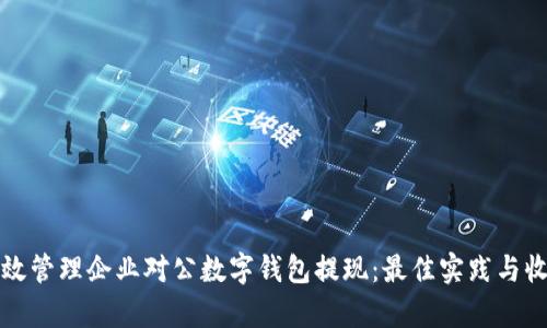 如何高效管理企业对公数字钱包提现：最佳实践与收益分析