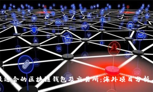 如何选择最适合的区块链钱包及交易所：海外项目分析与用户收益