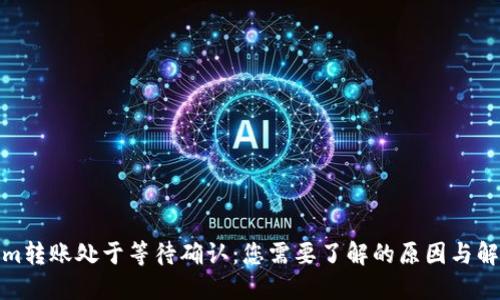 Tokenim转账处于等待确认：您需要了解的原因与解决方案