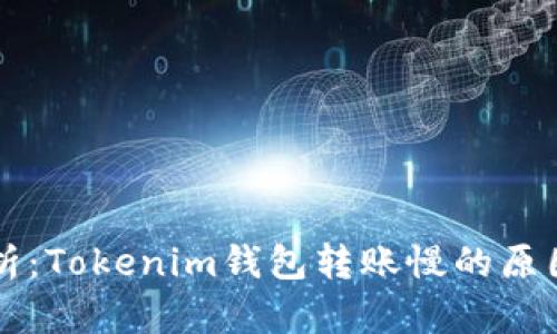 深入分析：Tokenim钱包转账慢的原因及方法