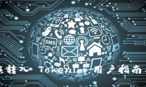 如何避免误转入 Tokenim：用户指南与解决方案