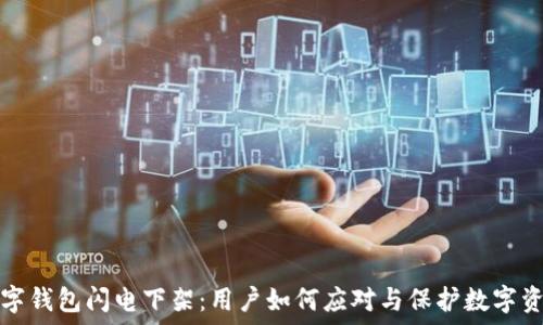   
数字钱包闪电下架：用户如何应对与保护数字资产