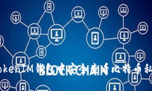 如何在TokenTokenIM钱包中安全查看比特币私钥:步骤与技巧