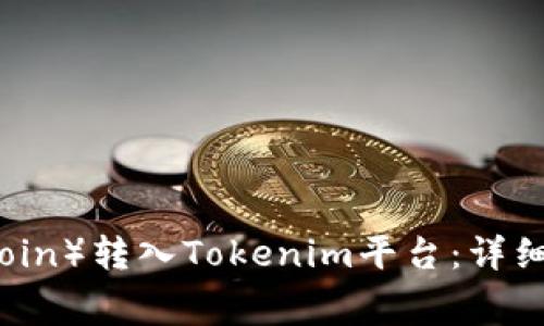 如何将狗狗币（Dogecoin）转入Tokenim平台：详细教程与常见问题解答