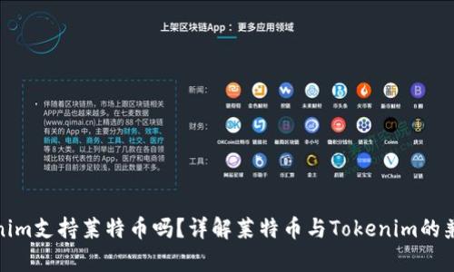 Tokenim支持莱特币吗？详解莱特币与Tokenim的兼容性