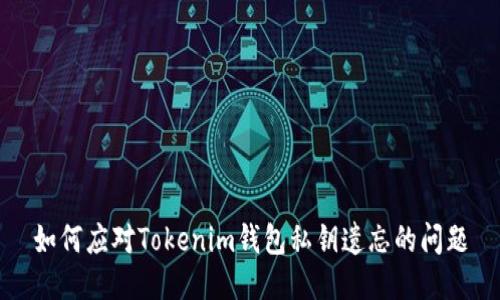 如何应对Tokenim钱包私钥遗忘的问题