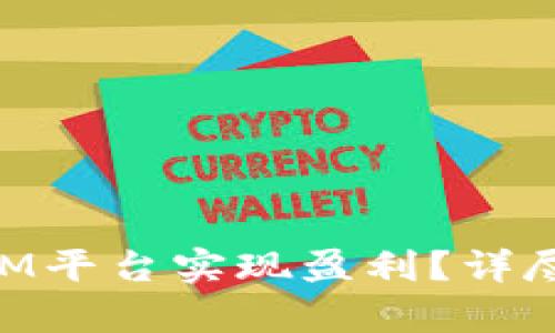 如何通过TokenIM平台实现盈利？详尽解析与实践指南