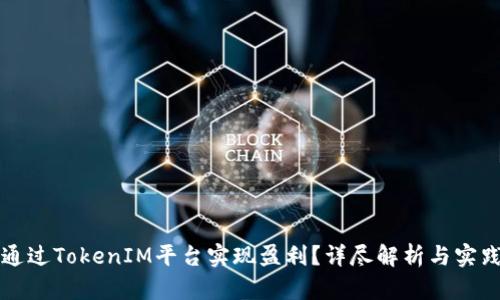 如何通过TokenIM平台实现盈利？详尽解析与实践指南
