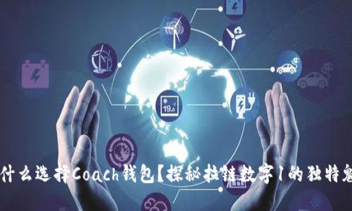 为什么选择Coach钱包？探秘拉链数字1的独特魅力