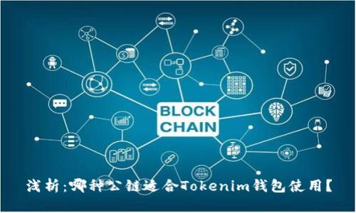 浅析：哪种公链适合Tokenim钱包使用？