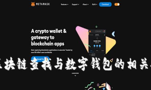 全面解析区块链查找与数字钱包的相关技术与应用