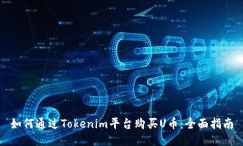如何通过Tokenim平台购买U币：全面指南