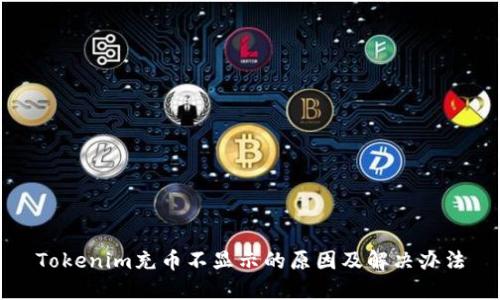 Tokenim充币不显示的原因及解决办法