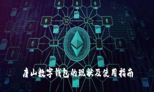 唐山数字钱包的现状及使用指南