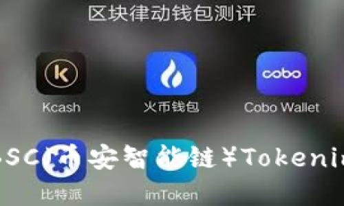 如何构建自定义BSC（币安智能链）Tokenim项目的详细指南
