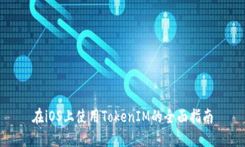 在iOS上使用TokenIM的全面指南