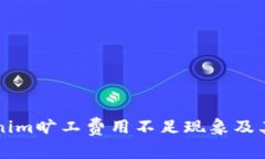 解读Tokenim旷工费用不足现象及其背后