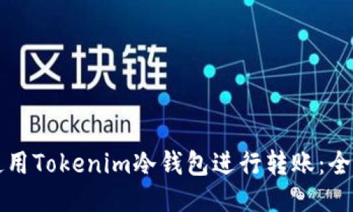 如何使用Tokenim冷钱包进行转账：全面指南