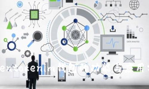 Tokentokenim钱包的功能与应用分析